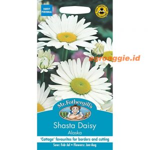 Mr. F SHASTA DAISY Alaska