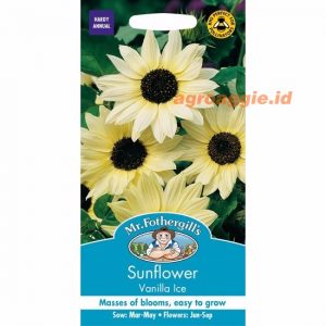 Mr. F SUNFLOWER Vanilla Ice