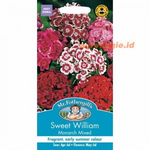 Mr. F SWEET WILLIAM Monarch Mixed
