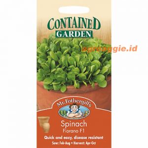 Mr. F SPINACH Fiorano F1