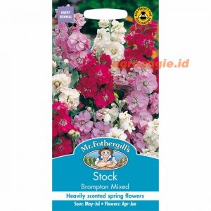 Mr. F STOCK Brompton Mixed