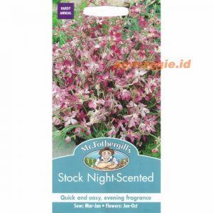 Mr. F STOCK NIGHT SCENTED