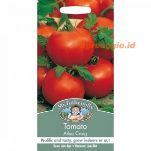 Mr. F TOMATO Ailsa Craig