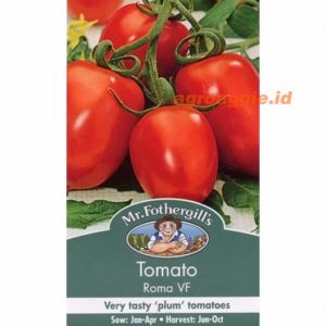 Mr. F TOMATO Roma VF