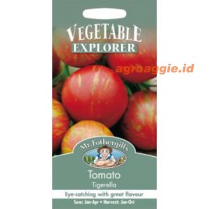Mr. F TOMATO Tigerella