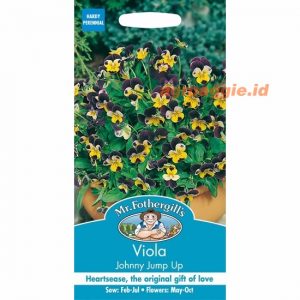 Mr. F VIOLA Johnny Jump Up