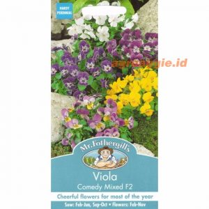 Mr. F VIOLA Comedy Mixed F2