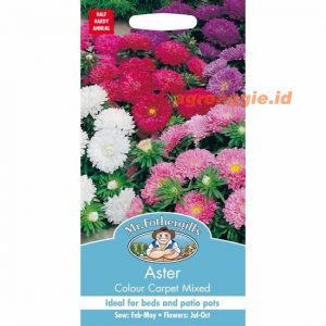 Mr. F ASTER Colour Carpet Mixed