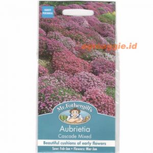 Mr. F AUBRIETIA Cascade Mixed