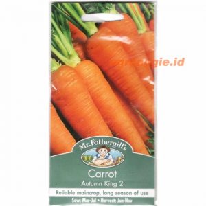 Mr. F CARROT Autumn King 2