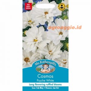 Mr. F COSMOS Psyche White