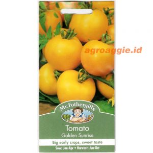 Mr. F TOMATO Golden Sunrise