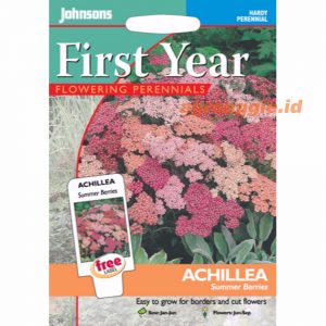 John ACHILLEA Summer Berries
