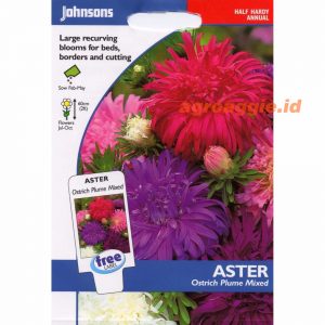 John ASTER Ostrich Plume Mixed