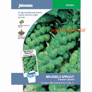 John BRUSSELS SPROUT Evesham Special