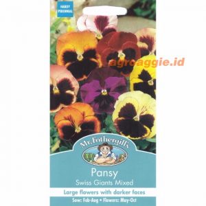 Mr. F PANSY Swiss Giants Mixed