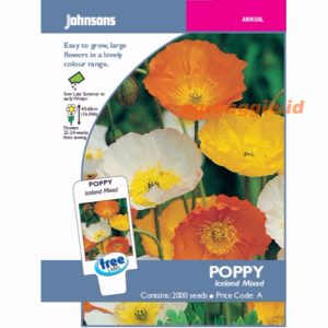 John POPPY Iceland Ballerina Mixed