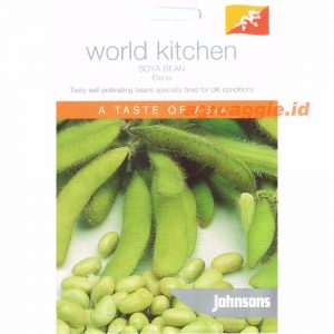 John SOYA BEAN Elena