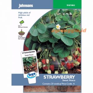 John STRAWBERRY Sweet Fresca