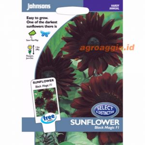 John SUNFLOWER Black Magic F1